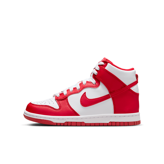 Nike Dunk High (gs)