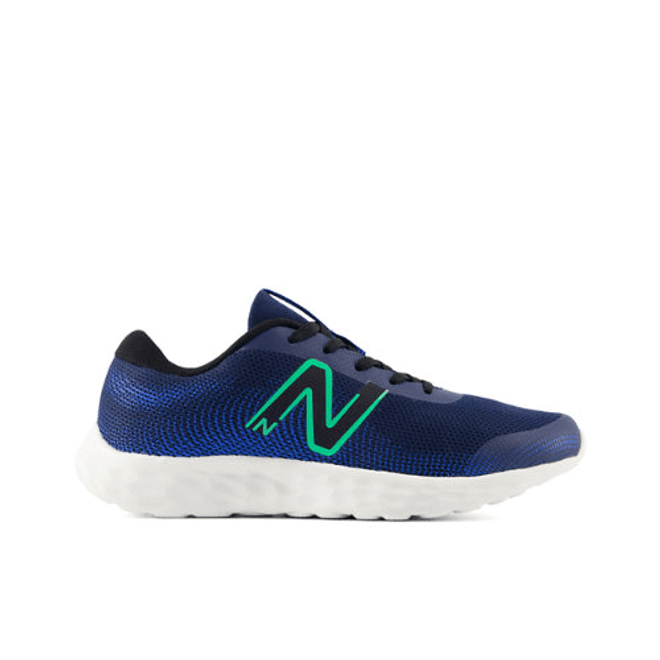 New Balance Kids' 520v8 Blue