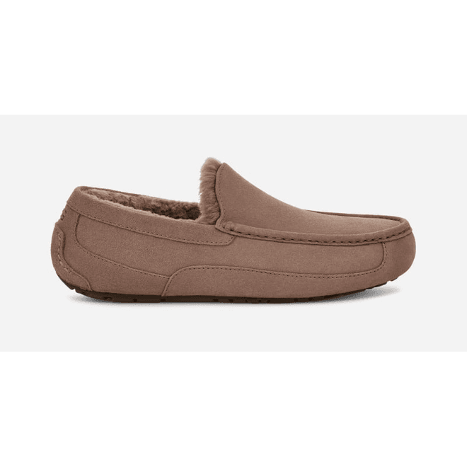 UGG® Ascot Slipper Men Brown