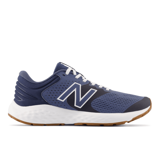 New Balance 520v7  Blue