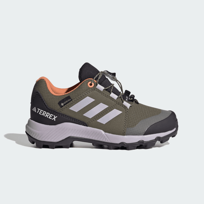 adidas Terrex GORE-TEX Hiking