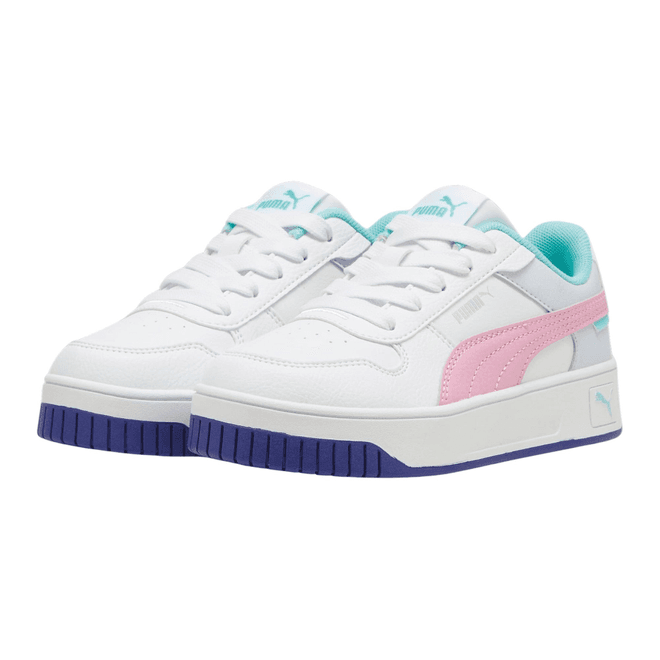 Puma Carina Street PS 