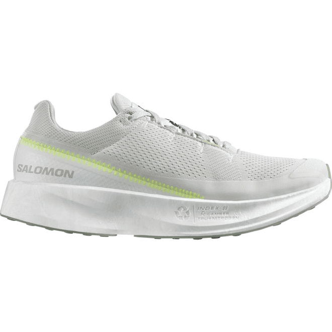 Salomon Index 02