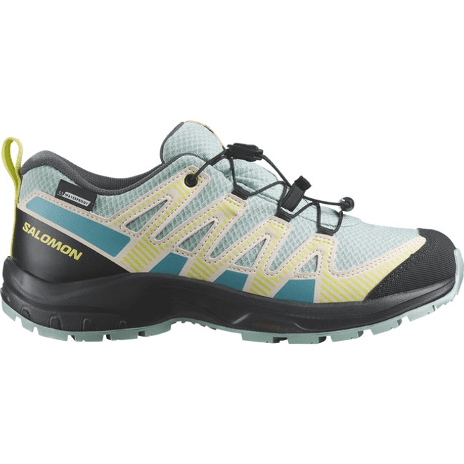 Salomon Xa Pro V8 Waterproof