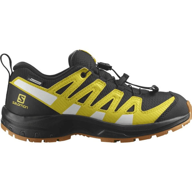 Salomon Xa Pro V8 Waterproof