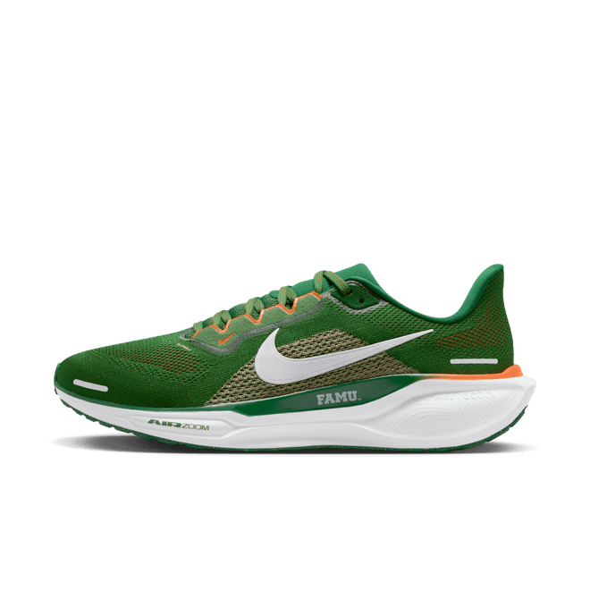 FAMU Pegasus 41 Nike College Road