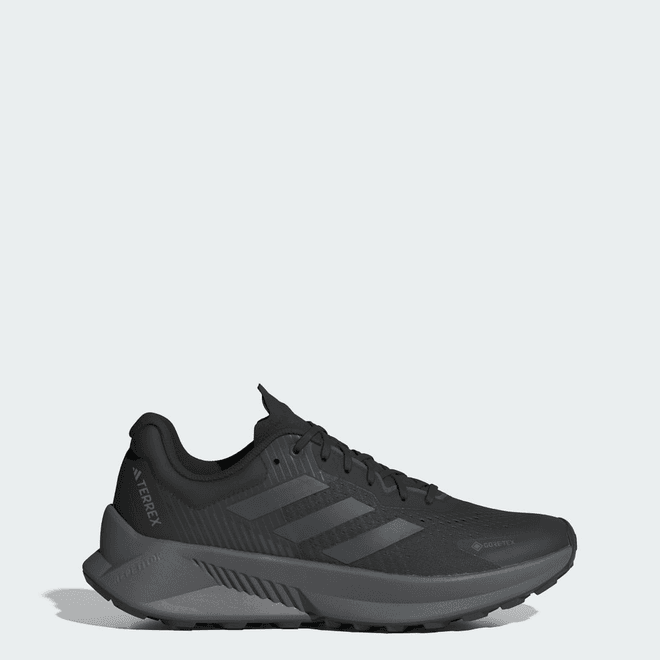 adidas Terrex Soulstride Flow Gore-Tex