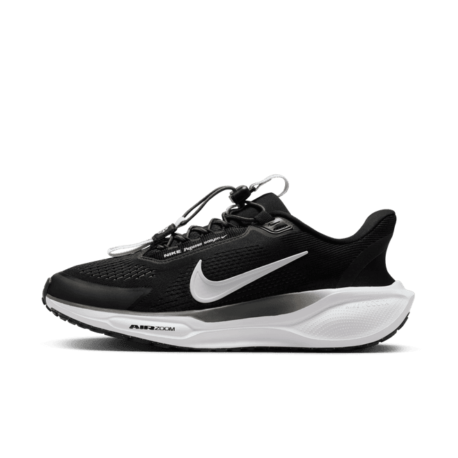 Nike Pegasus EasyOn Road