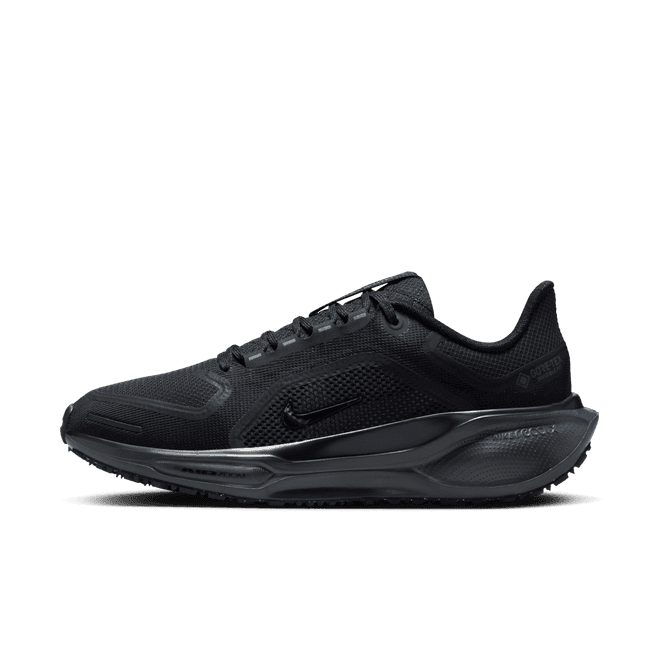 Nike Pegasus 41 GORE-TEX Waterproof Road