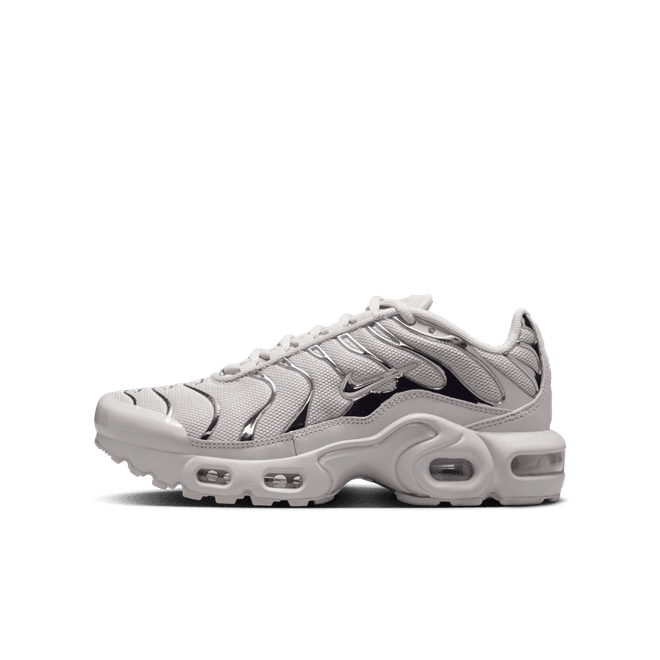 Nike Air Max Plus Big Kids'