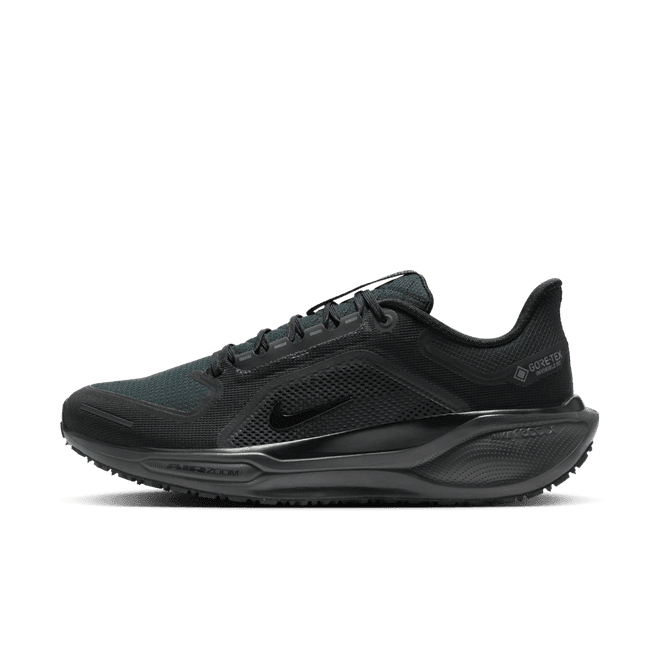 Nike Pegasus 41 GTX Road 'Black'