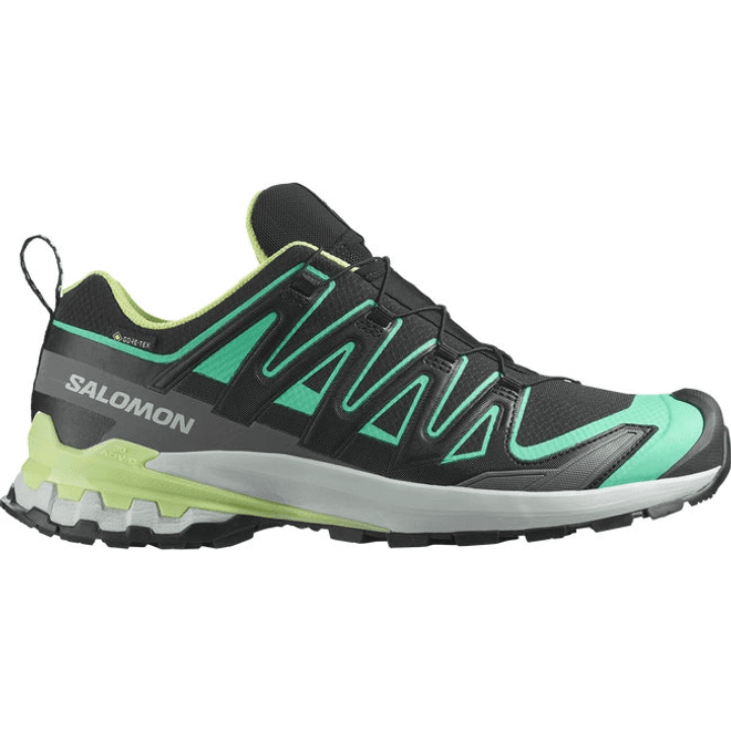 Salomon Xa Pro 3d V9 Gore-tex Black 