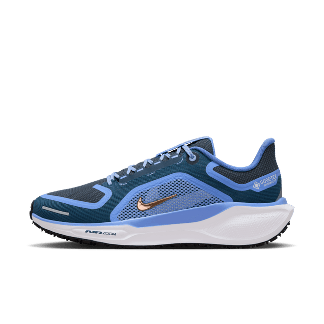 Nike Pegasus 41 GORE-TEX Waterproof Road