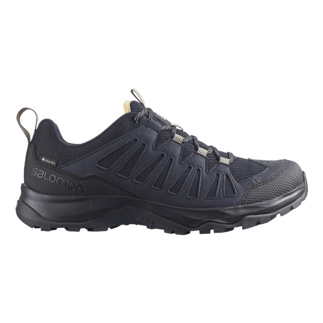 Salomon Eos Gore-tex Night Sky 