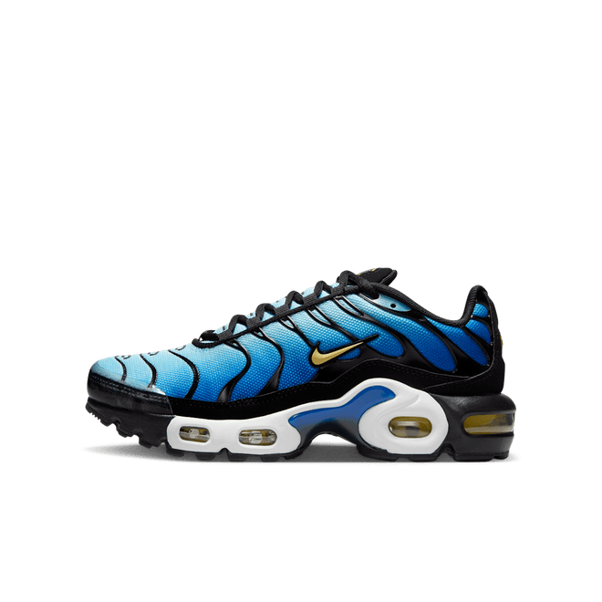 Nike Air Max Plus GS 'Hyper Blue'