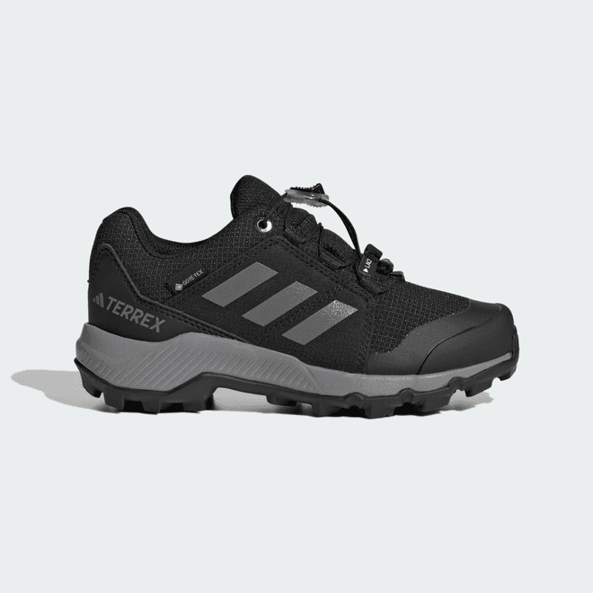 adidas Terrex GORE-TEX Hiking