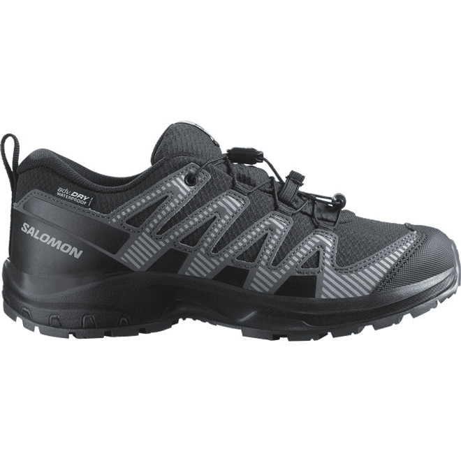 Salomon Xa Pro V8 Waterproof Black 