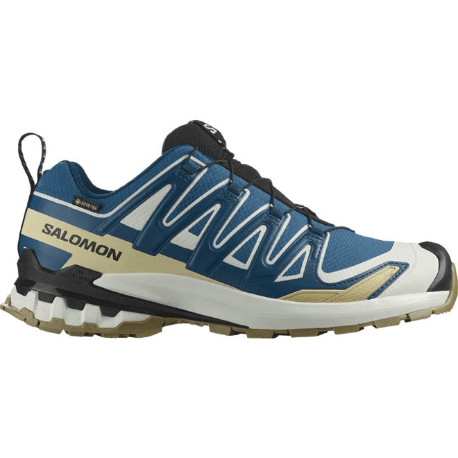 Salomon Xa Pro 3d V9 Gore-tex Dark Blue 