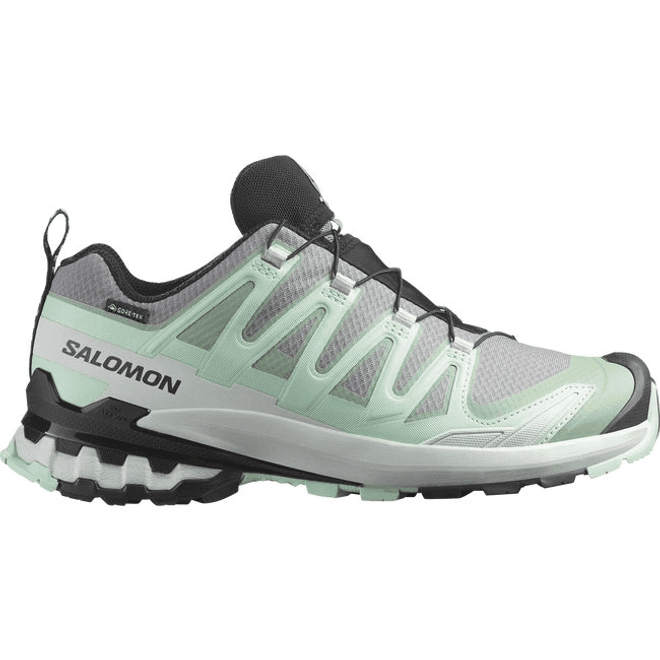 Salomon Xa Pro 3d V9 Gore-tex Quiet Shade 