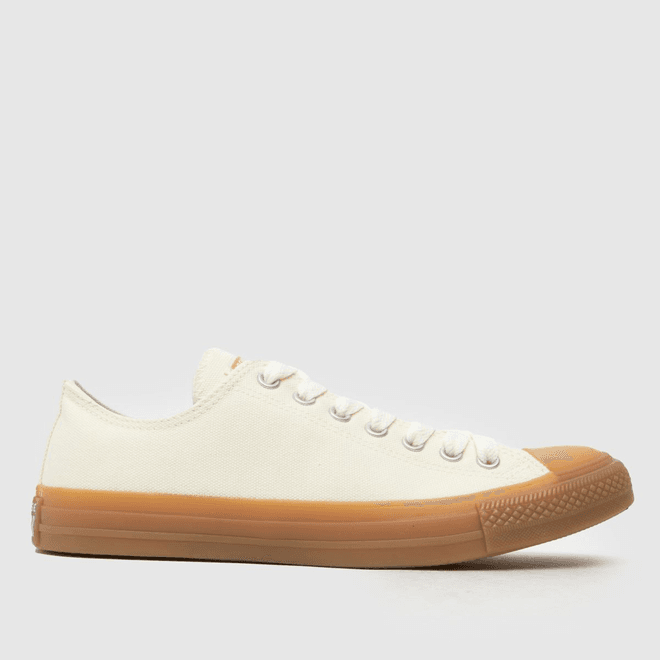 Converse Converse Chuck Taylor All Star Heavy Canvas