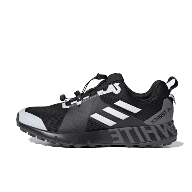 adidas Terrex_WM Two GTX