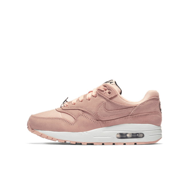 Nike Air Max 1 GS Coral 'Have A Nike Day'