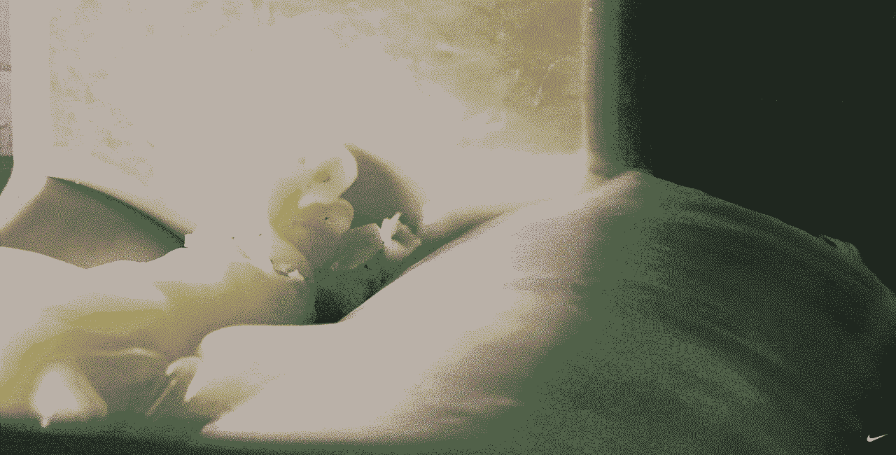 Nachhaltigkeit in der Sneaker Welt und die Rolle von Nike