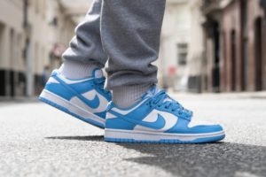 Der Nike Dunk Sizing Guide