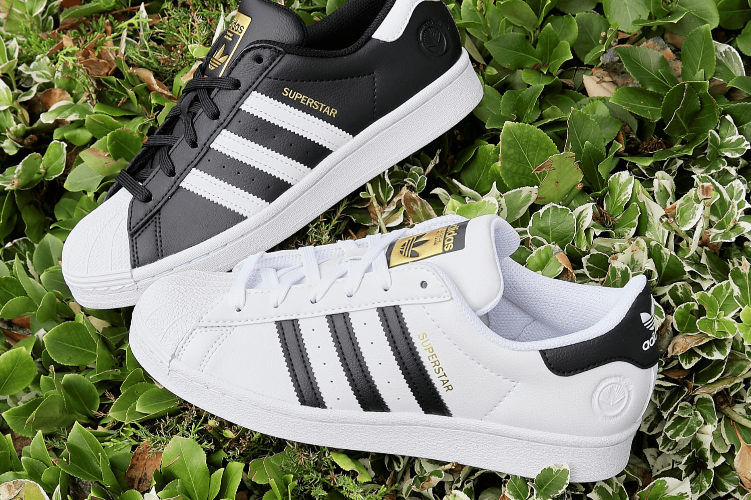 Vegane Sneaker Trends und Alternativen