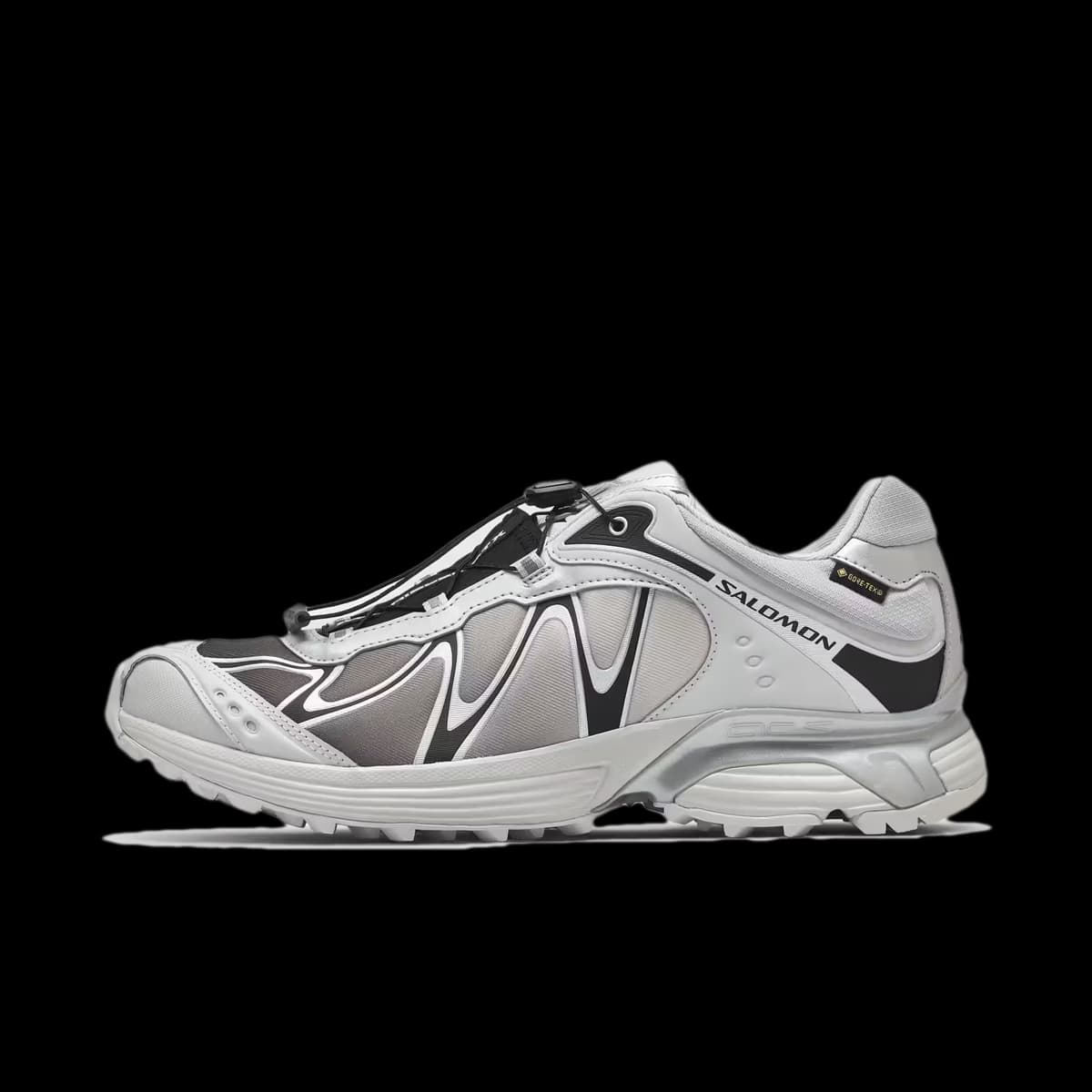 Salomon XT-Whisper GTX 'Gray Violet'