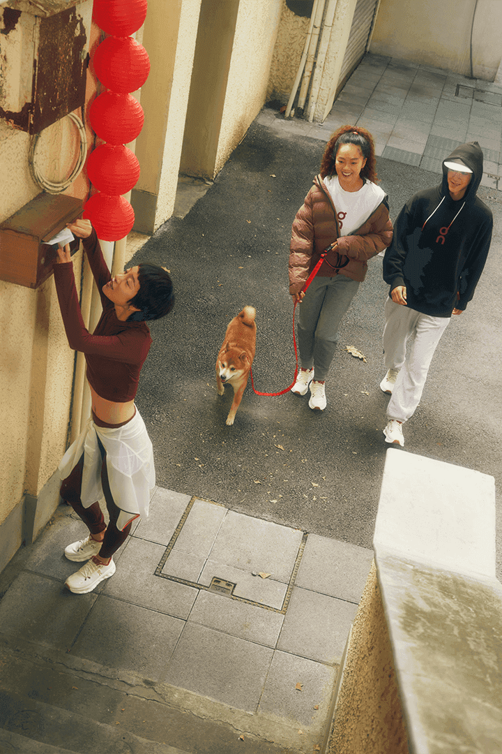 On Year of the Snake collection