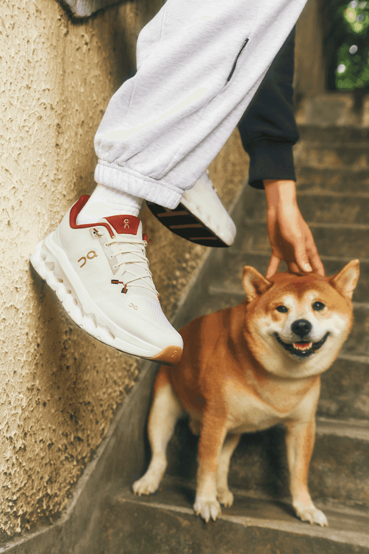 On Year of the Snake collection