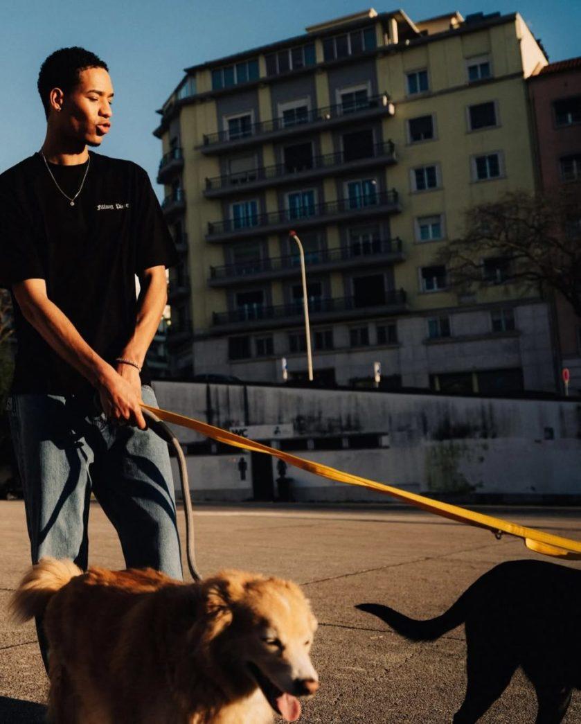 Filling Pieces Crafted in Portugal