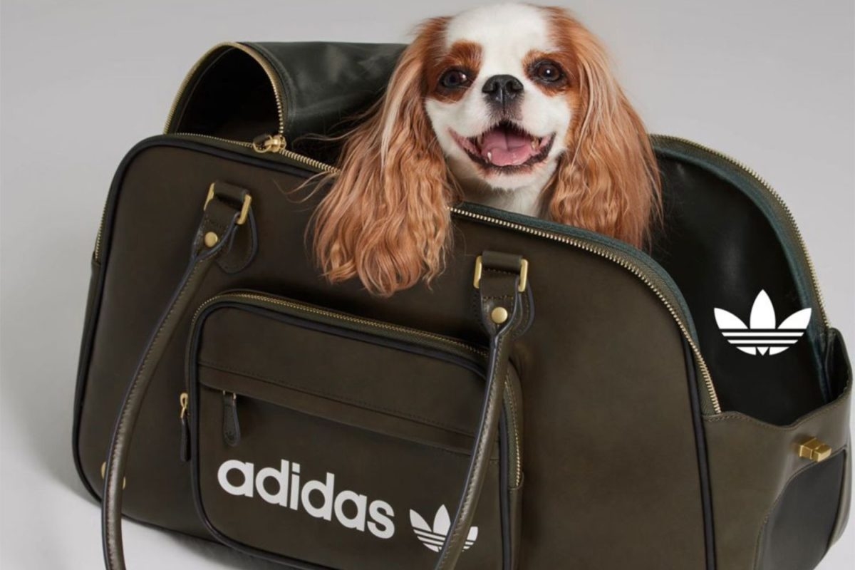 adidas Originals brengt een exclusieve collectie uit voor dieren