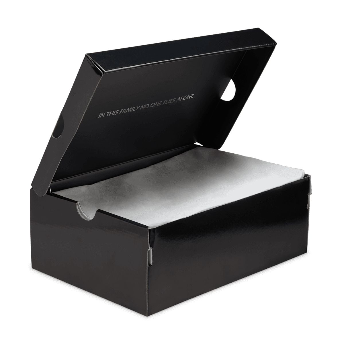 Air Jordan 5 'Wings'