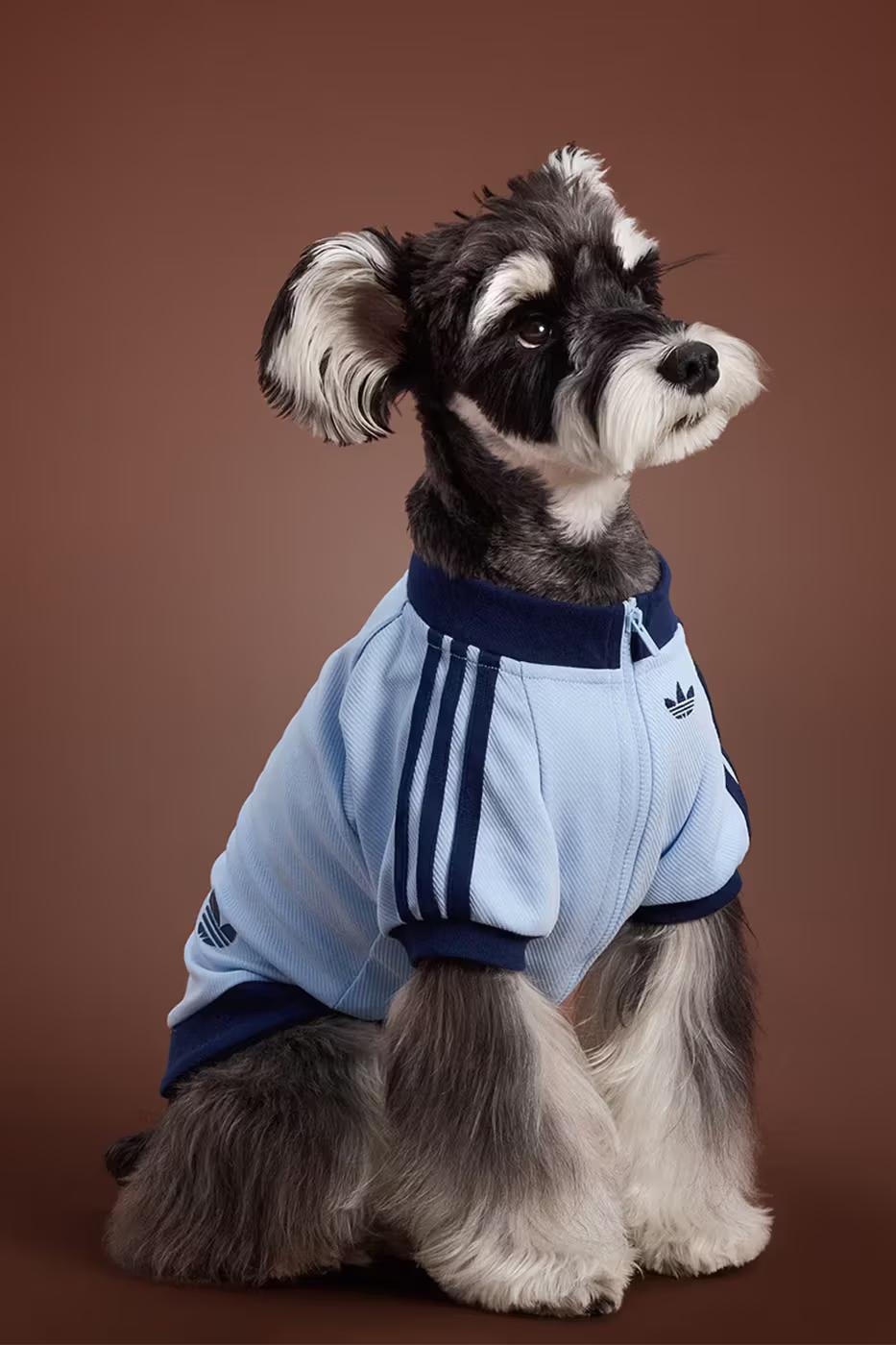 adidas Pet Collection