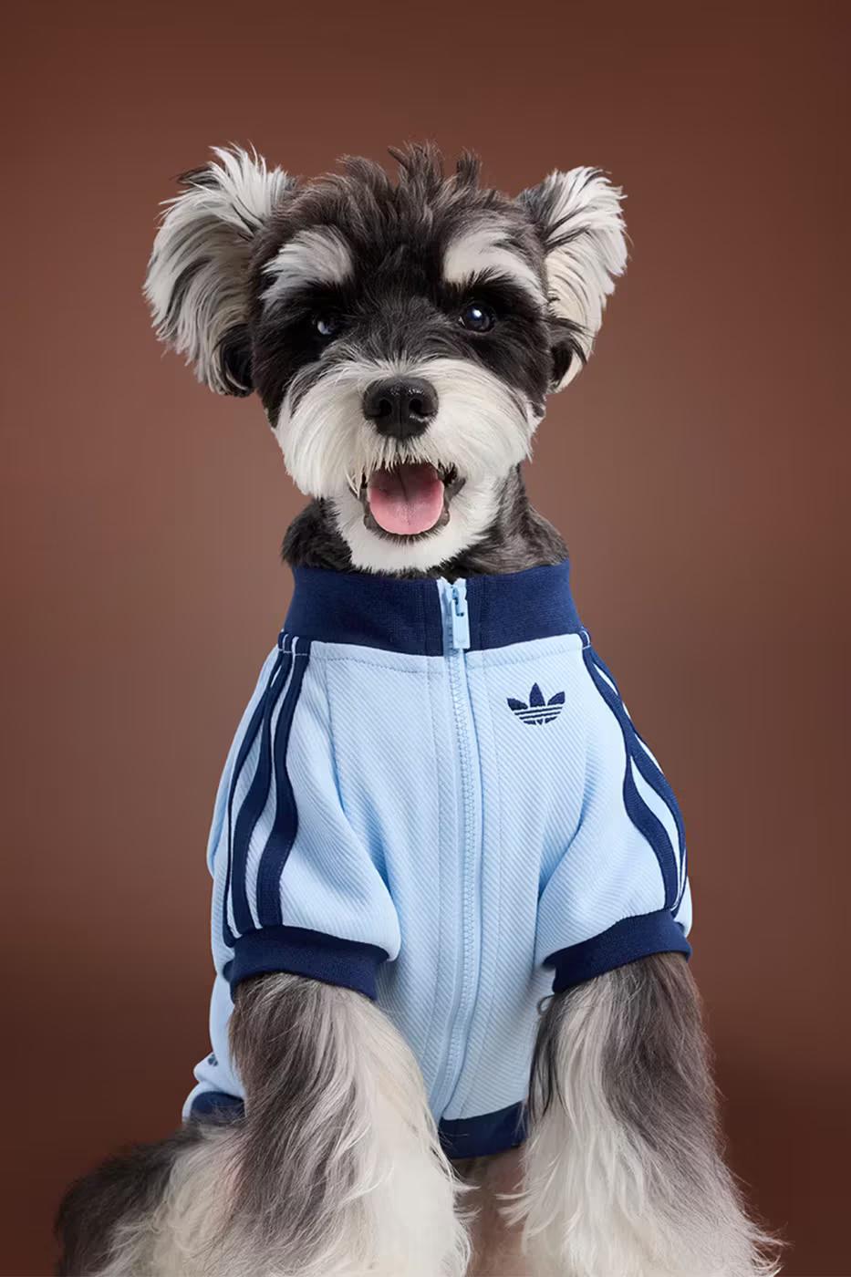 adidas Pet Collection