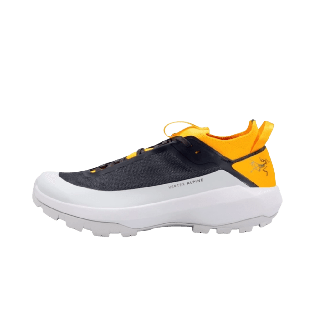 Arc'teryx Vertex Alpine Shoe Men's