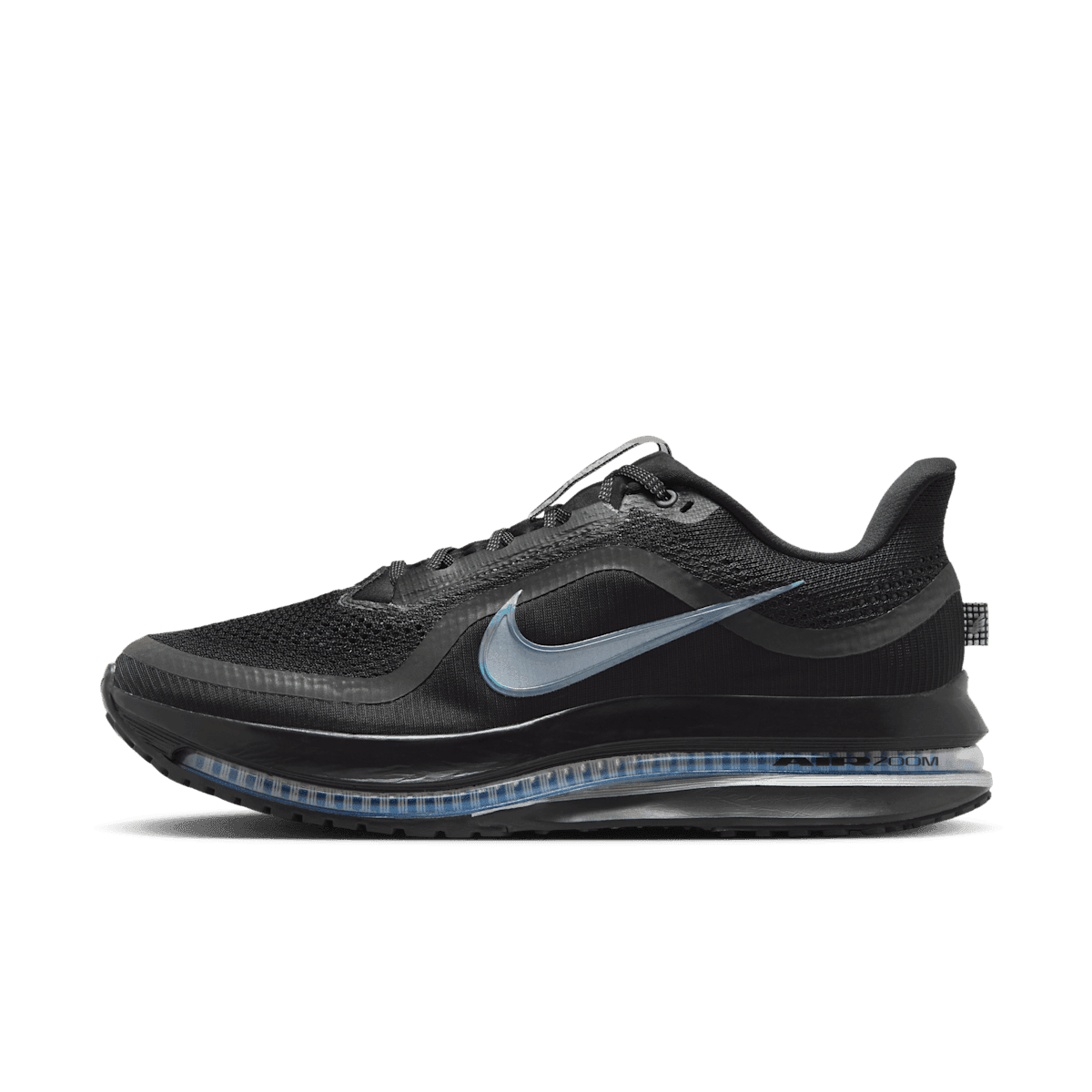 Nike Pegasus Premium 'Black & Metallic Silver'