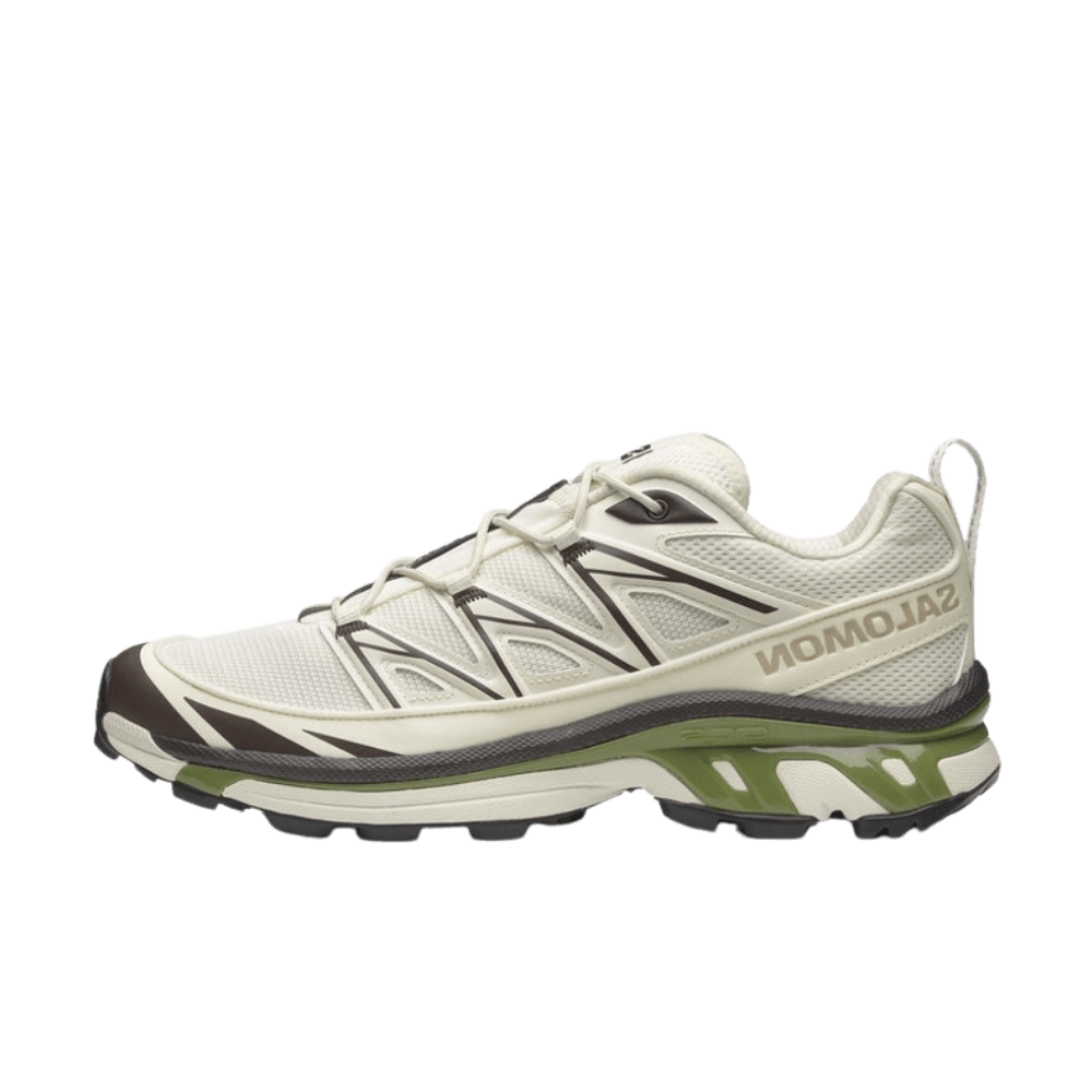 Salomon Advanced XT-6 Expanse