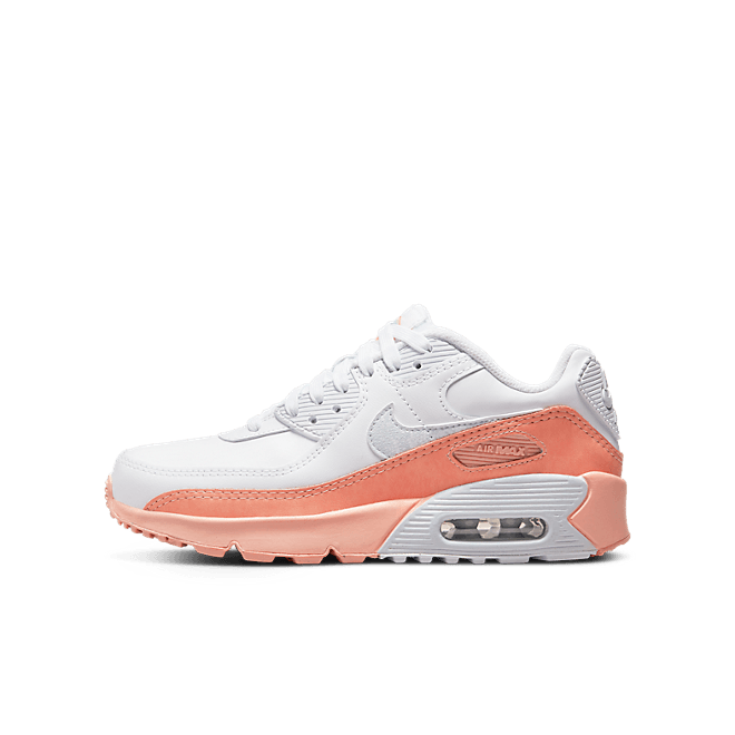 Nike Air Max 90 LTR SE