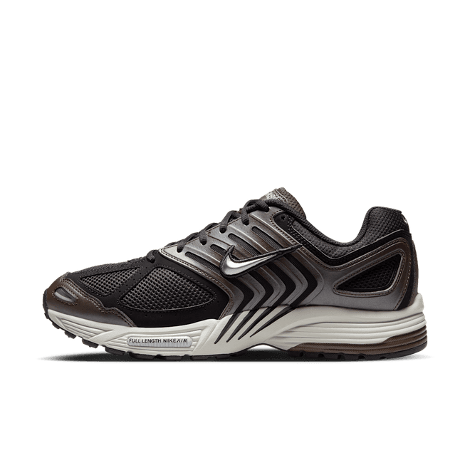 Nike Air Pegasus 2005