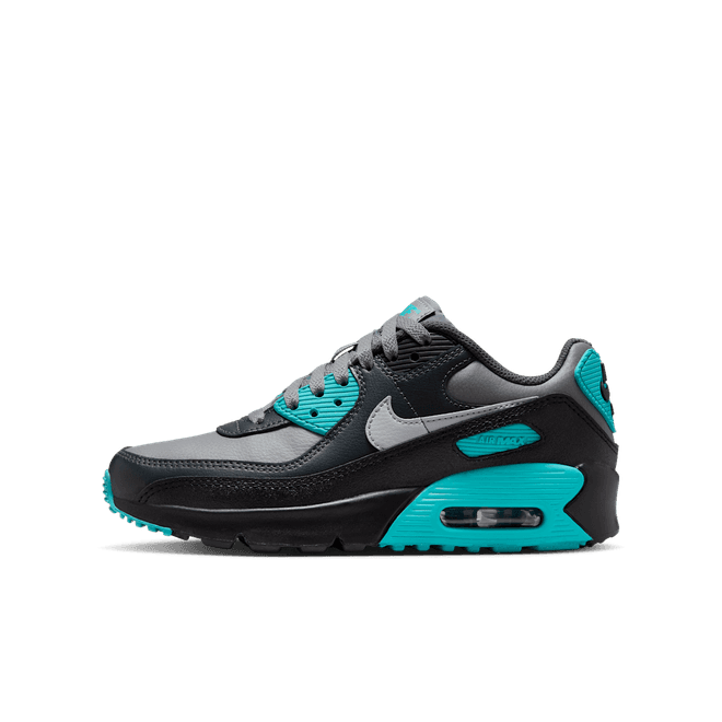 Nike Air Max 90 LTR GS 'Dusty Cactus'