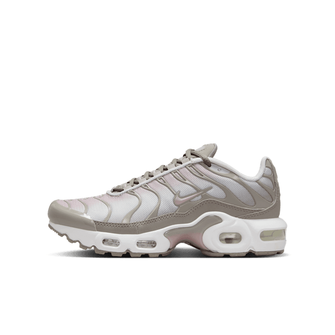 Nike Air Max Plus Big Kids'