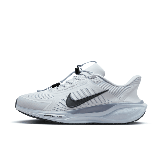 Nike Pegasus EasyOn Road