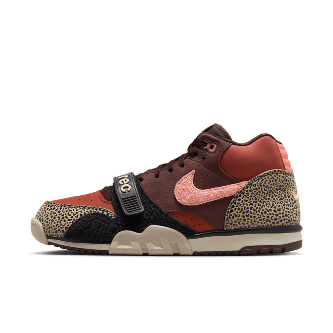 Arts-Rec x Nike SB Air Trainer 1