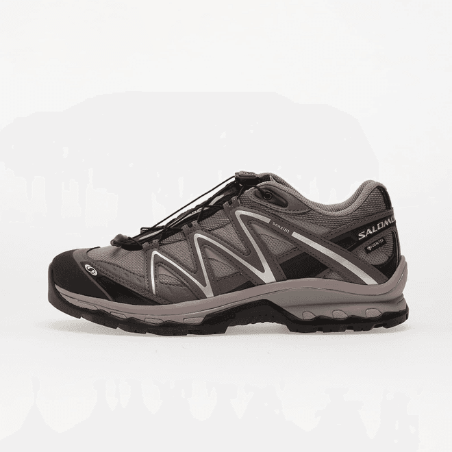 Salomon Xt-quest Gore-tex Gull