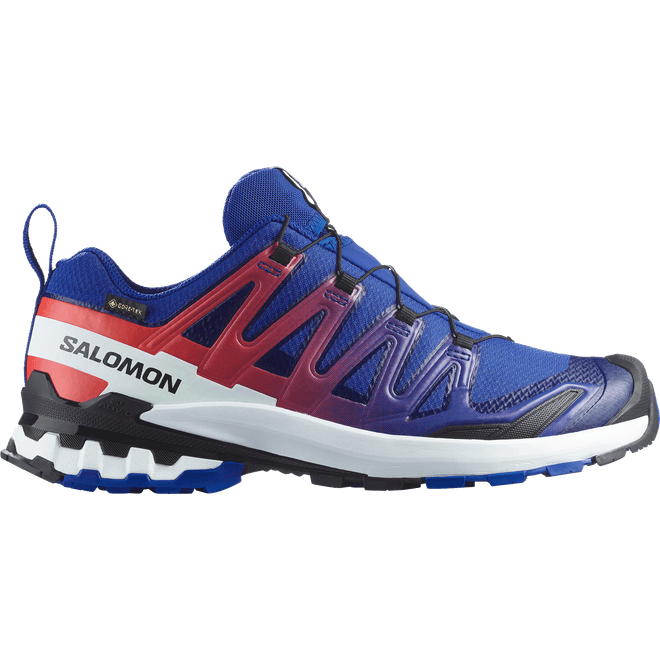 Salomon Xa Pro 3d V9 Gtx Equipe