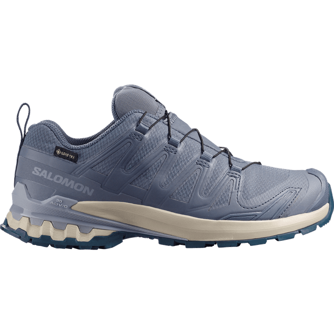 Salomon Xa Pro 3d V9 Gtx W