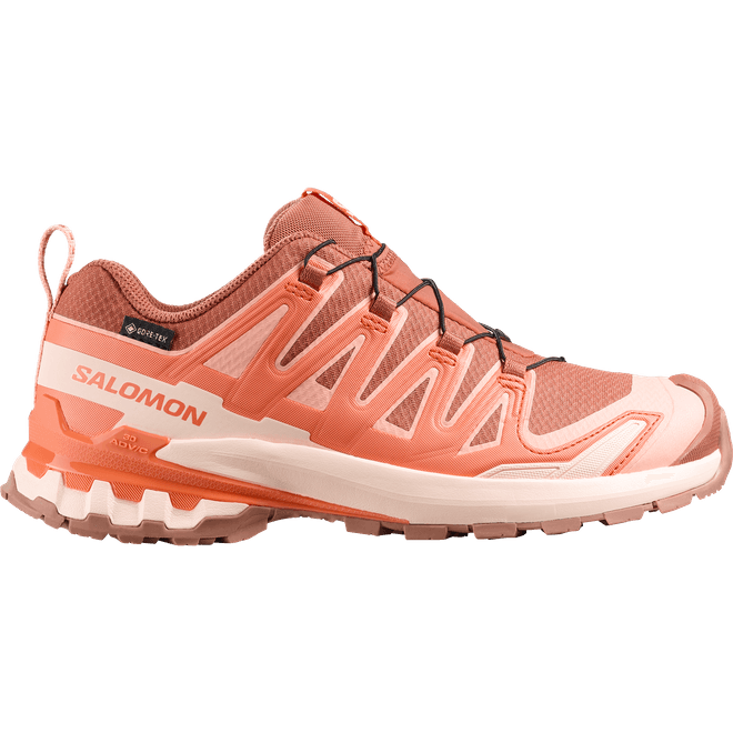 Salomon Xa Pro 3d V9 Gtx W